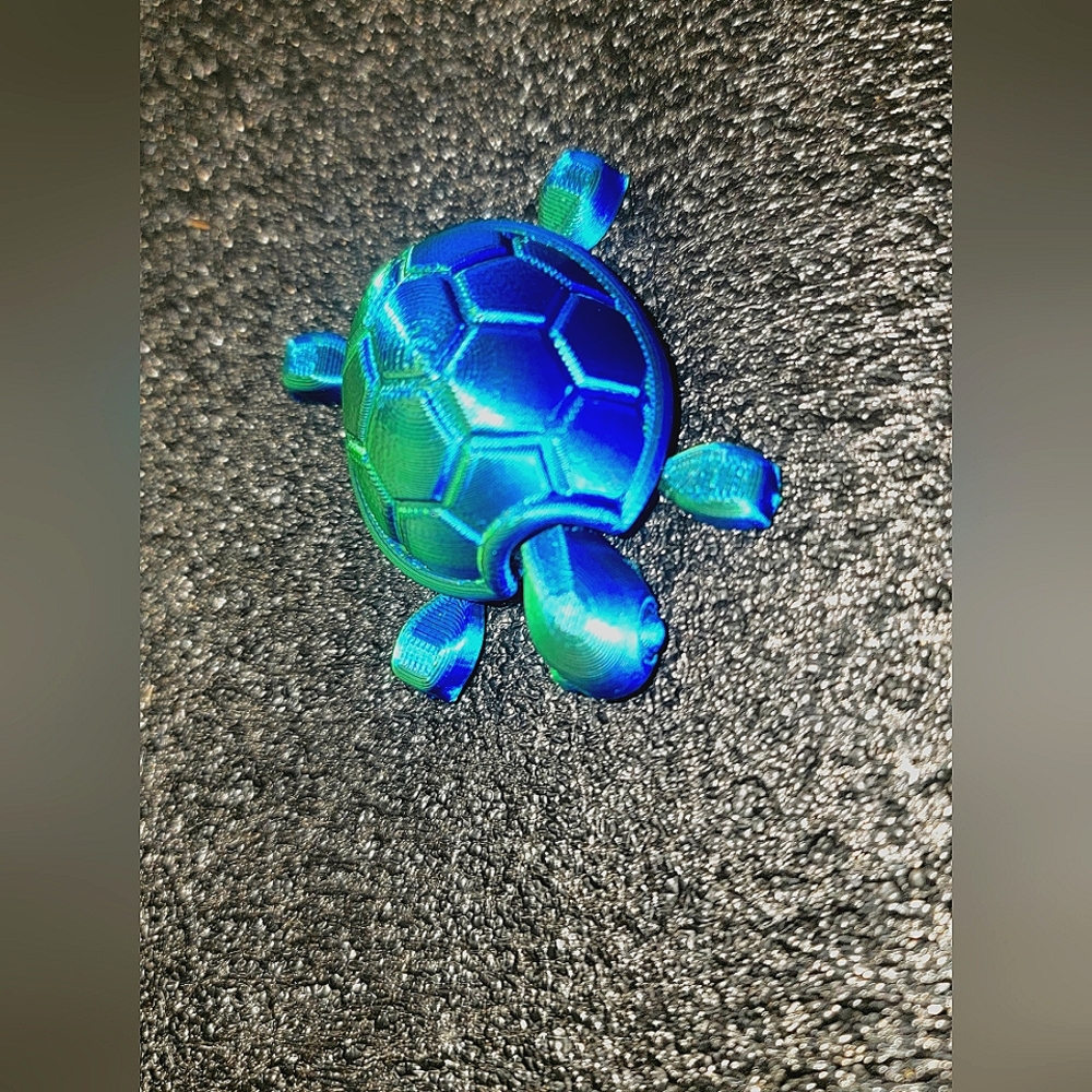 3D Printed Turtle